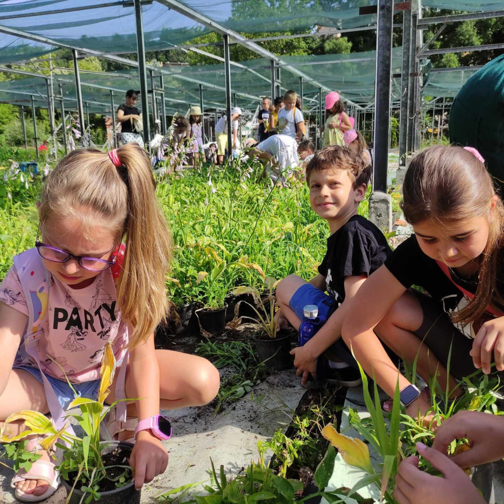 Снимка за 13456