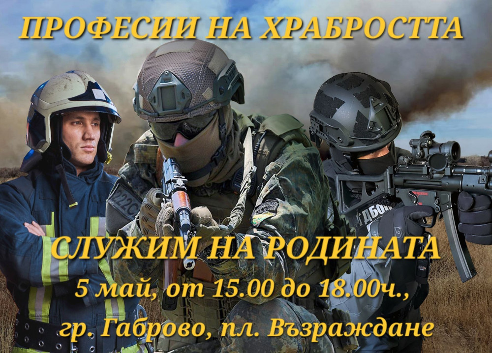 Снимка за 13446