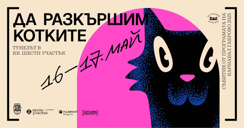 Снимка за На 16 и 17 май „Да разкършим котките“