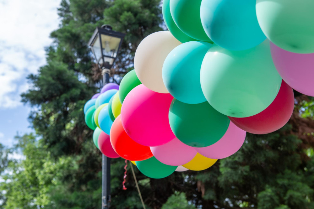 Снимка за 13606