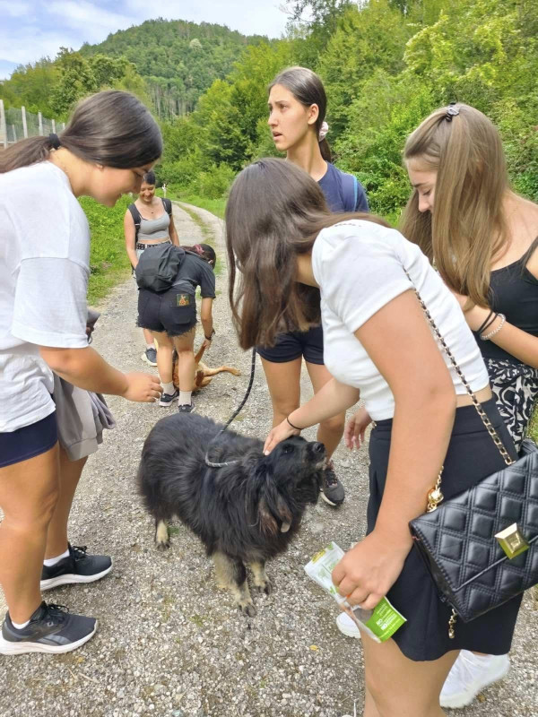 Снимка за Световният ден на кучето вдъхнови нова традиция...
