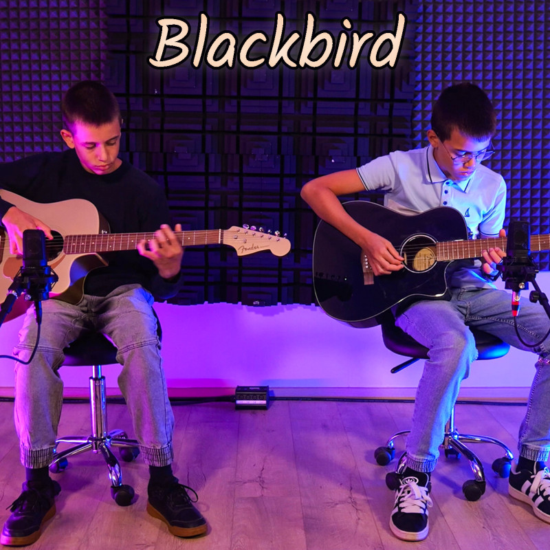 Снимка за Васил и Камен със запис на кавър версия на ембл...