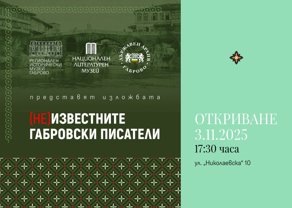 Снимка за 13910