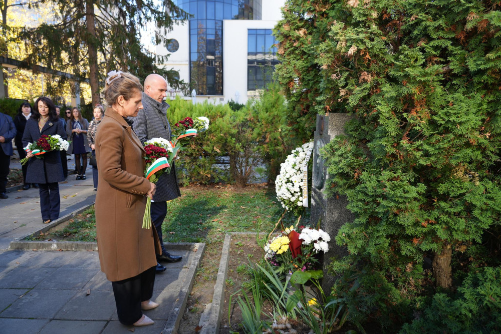 Снимка за 13879