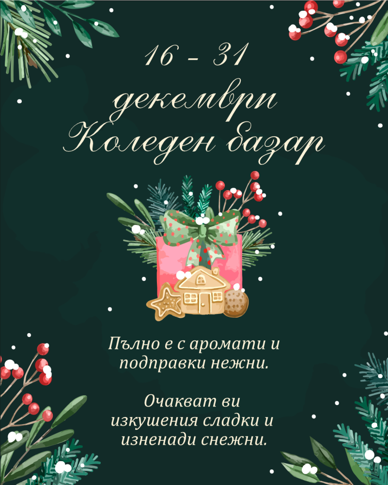 Снимка за 13983