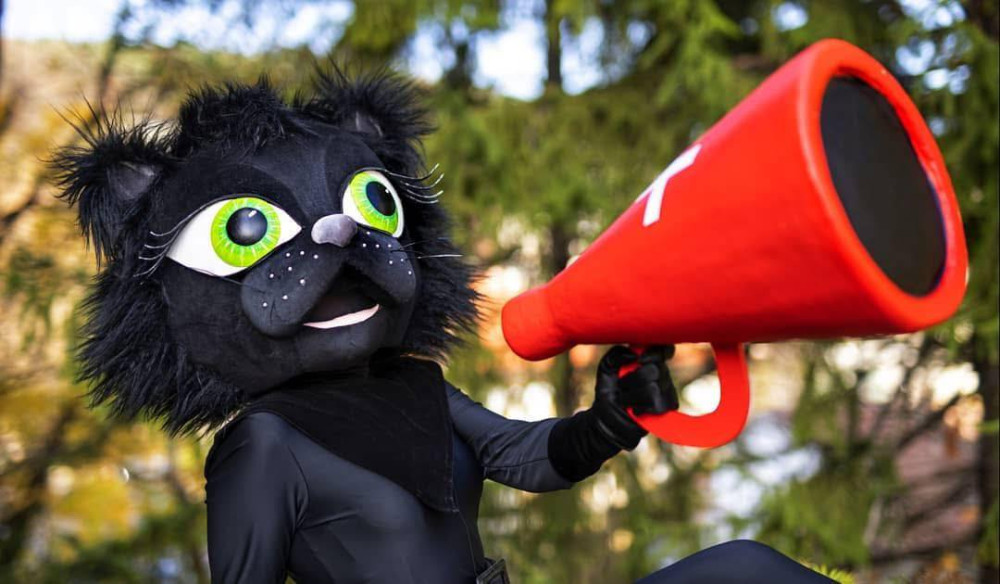 Снимка за 13940