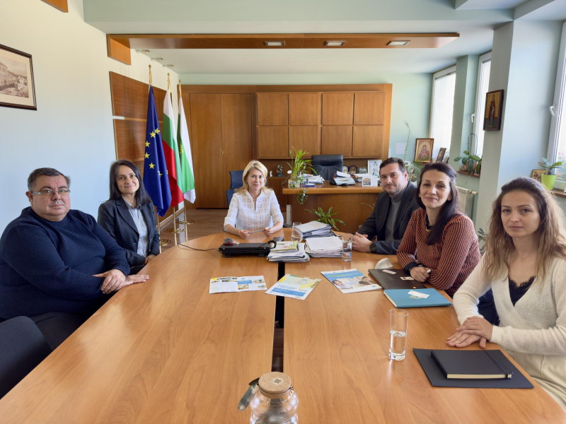 Снимка за Проект „Светулка“ обединява институции, бизнес,...