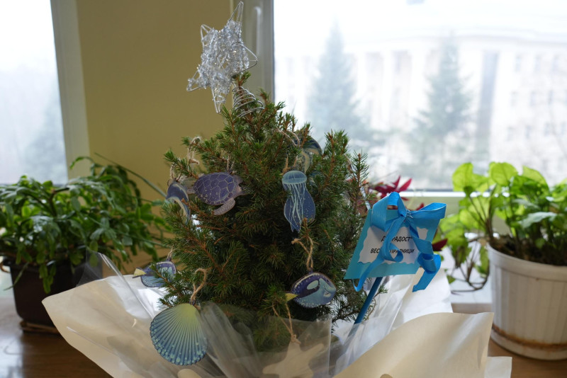 Снимка за Коледни дръвчета с украса, вдъхновена от Целите...