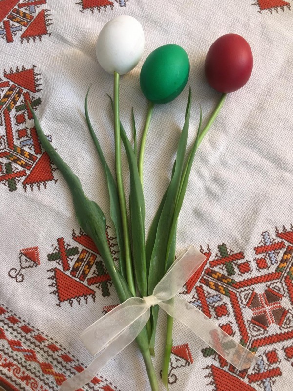 Снимка за 61 наградени в „Ден на Земята – Всеки ден“