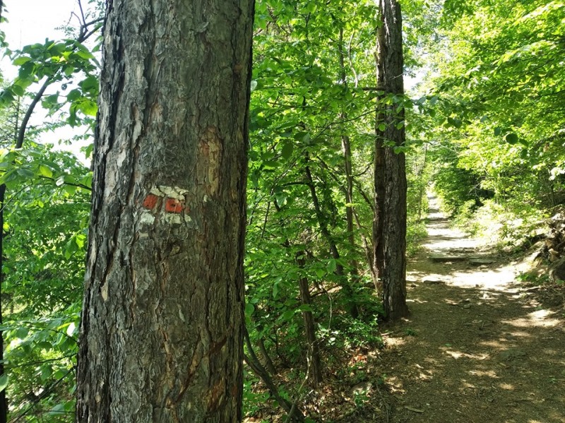 Снимка за Покана за оферта - обществена поръчка с предмет...