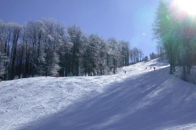 Снимка за Гласувайте за Узана в класацията на Кмета.БГ