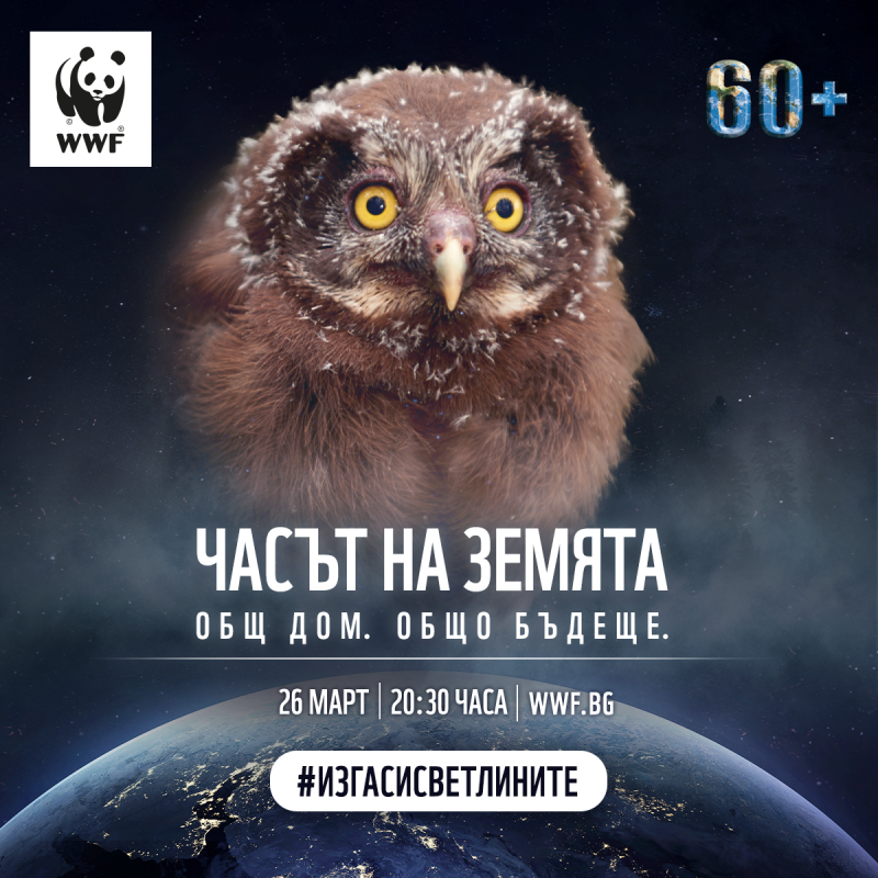 Снимка за Часът на Земята. Включете се. Изгасете светлините