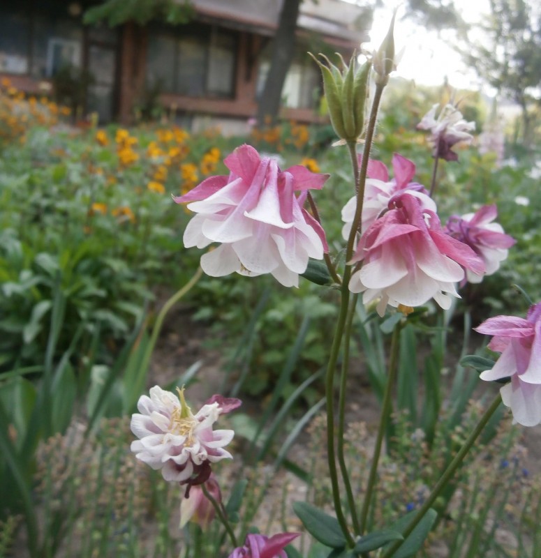 Снимка за Спечелете награда в ЕКО състезание