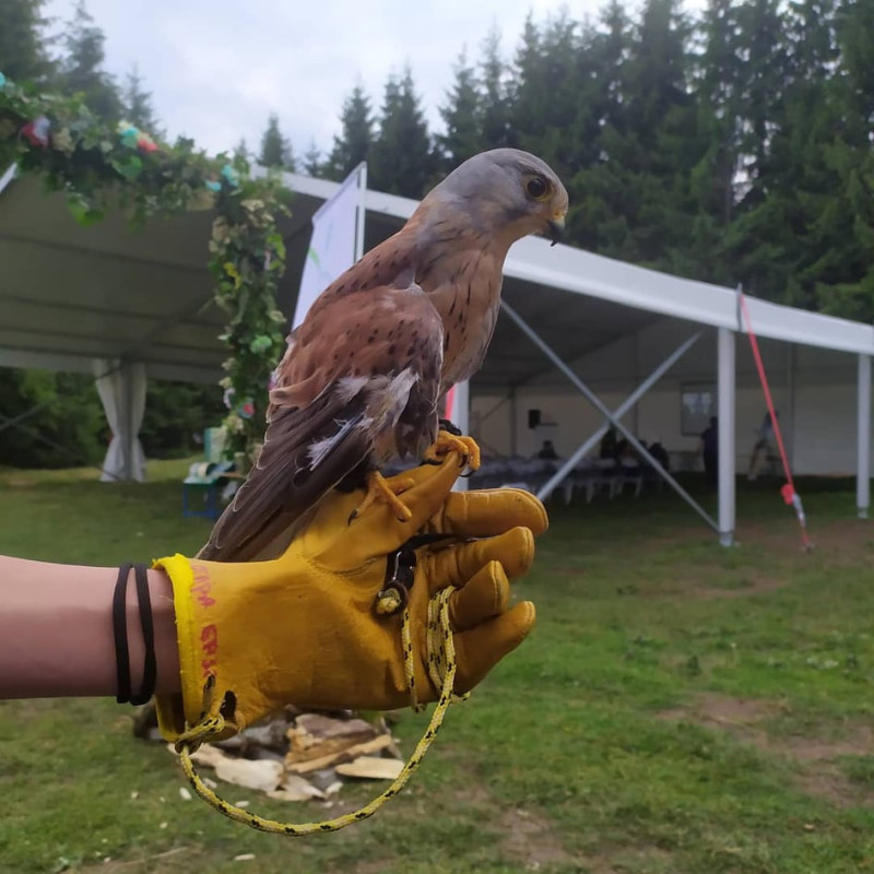 Снимка за Вече сме на Узана! А ти?
