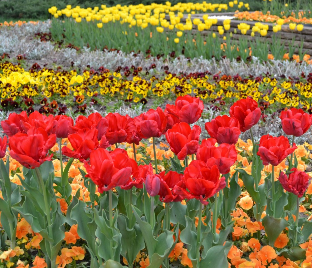 Снимка за 6871