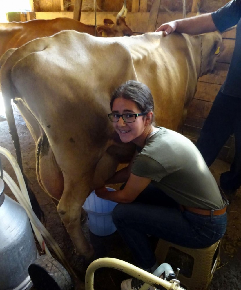 Снимка за 6885