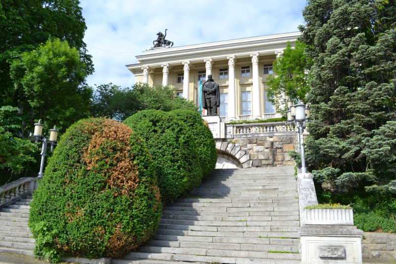 Снимка за Започва лекуването на чемширите пред Дома на ку...