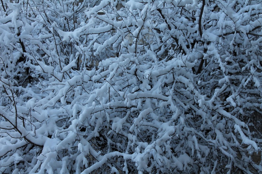 Снимка за 6715