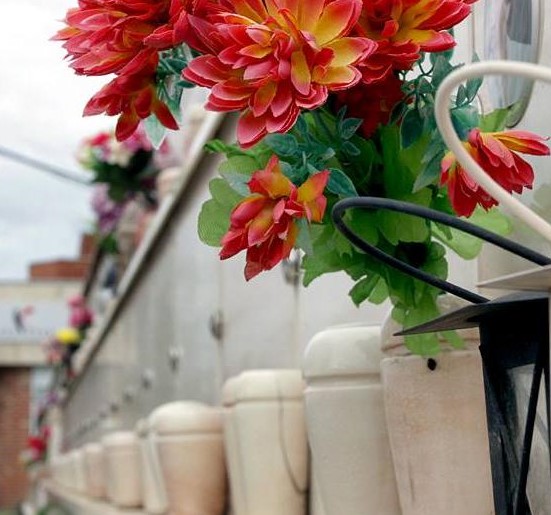 Снимка за Нова услуга от ОП "Гробищни паркове"