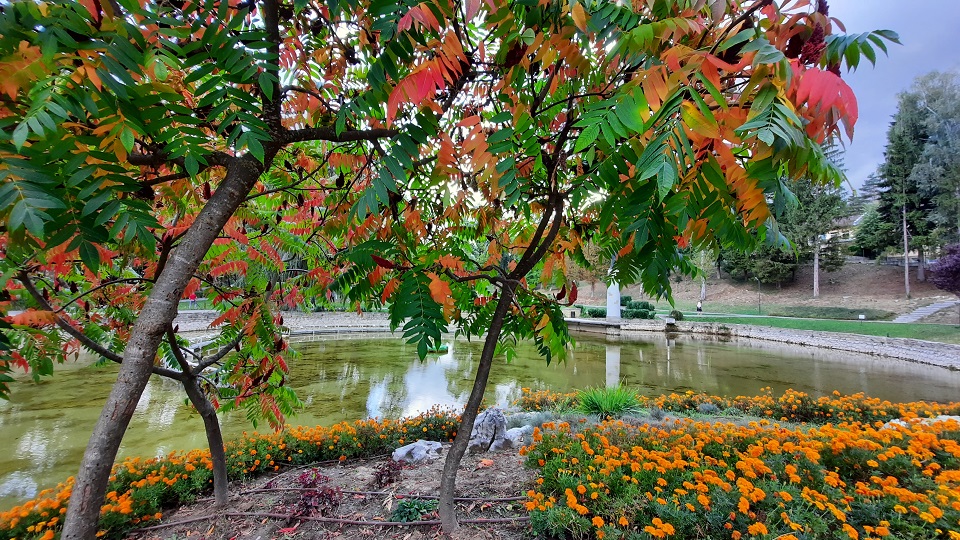 Снимка за 9654