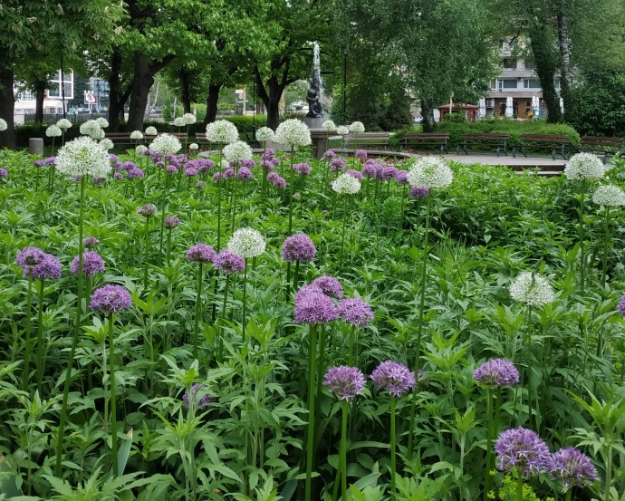 Снимка за 8171