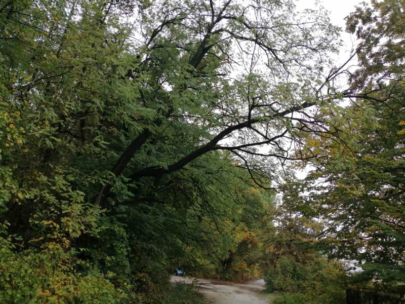 Снимка за 10770