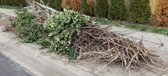 Снимка за 10645