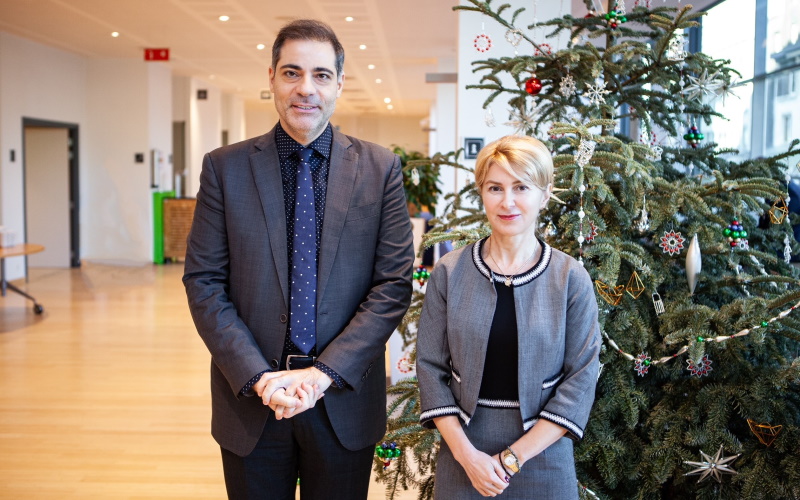 Снимка за 11636