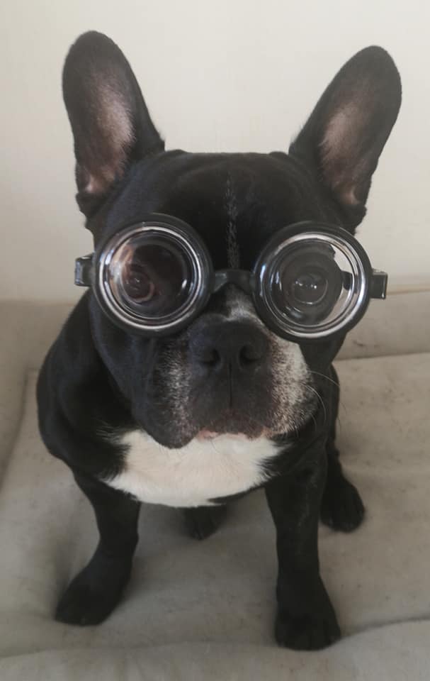 Снимка за Пижамено парти, пиано бар и живи картини довече...