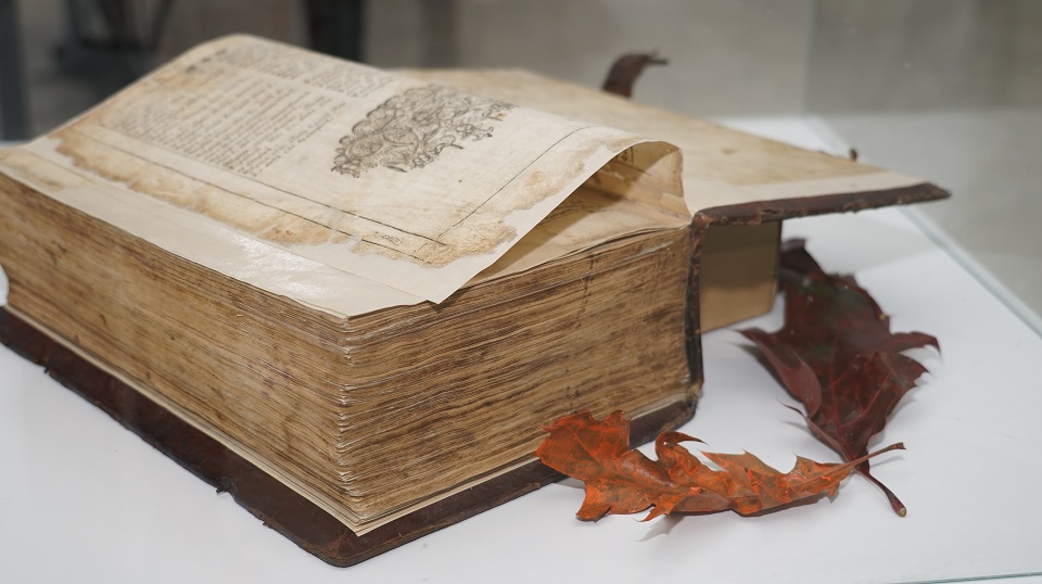 Снимка за 10236