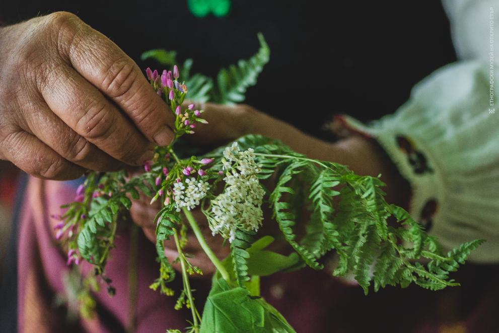 Снимка за 12036