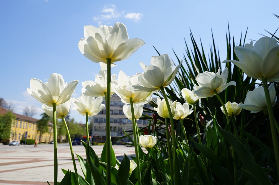 Снимка за 9030