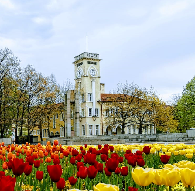 Снимка за 10453