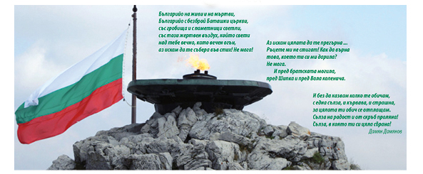 Снимка за 11425