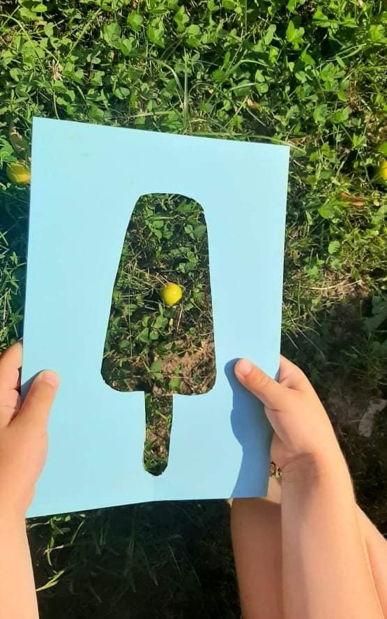 Снимка за Община Габрово с проект за опитно поле по земед...