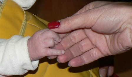 Снимка за 11071