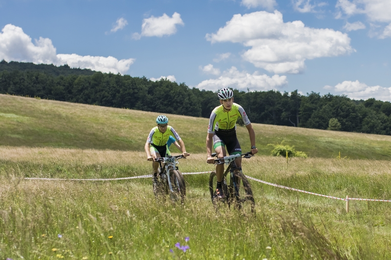 Снимка за 8019