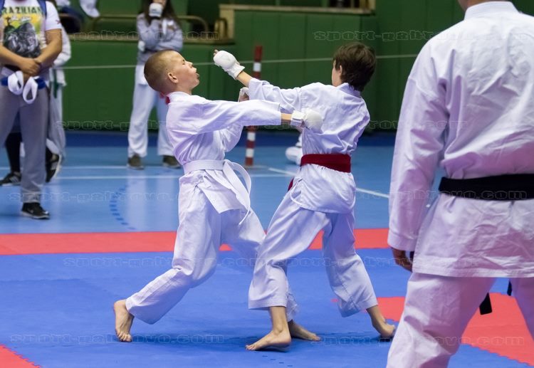 Снимка за 6917