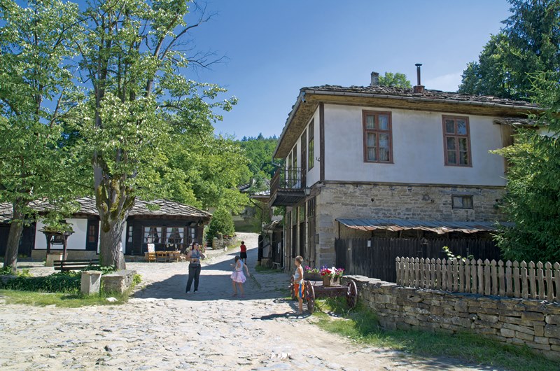 Снимка за АИР „Боженци”