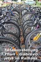 Снимка за Съвместната фото-изложба на фотографи от Тун и ...