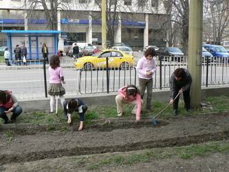 Снимка за Училищата „яхнаха метлите”