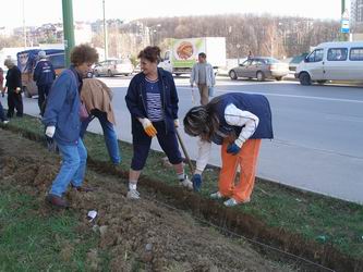 Снимка за Община Габрово залесява в седмицата на гората