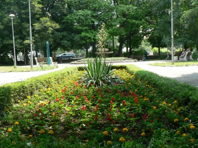 Снимка за Приключи лятното зацветяване на Габрово