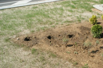 Снимка за Нова проява на вандализъм в Габрово