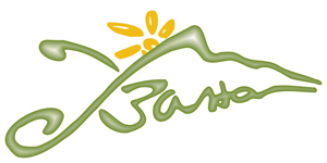 Снимка за 295