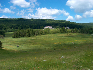 Снимка за Община Габрово си доказа собствеността върху по...