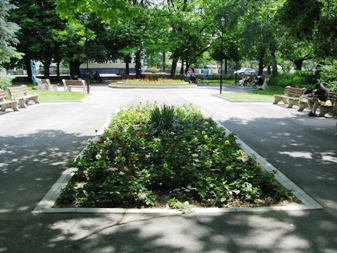 Снимка за Габрово – цветен град, по примера на партньорск...