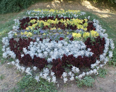 Снимка за Община Габрово създава звено за озеленяване по ...