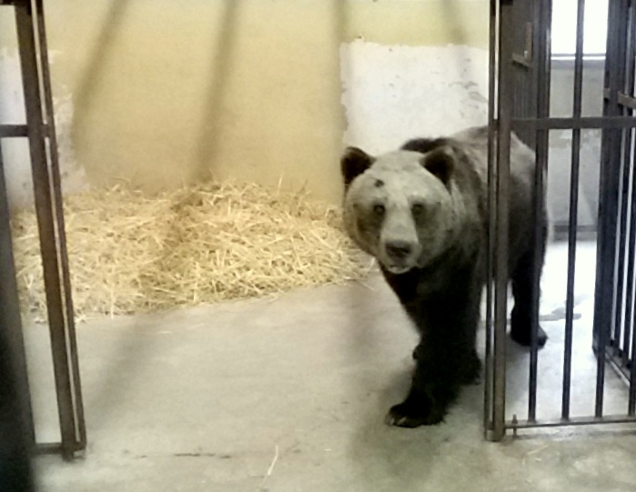 Снимка за 4668