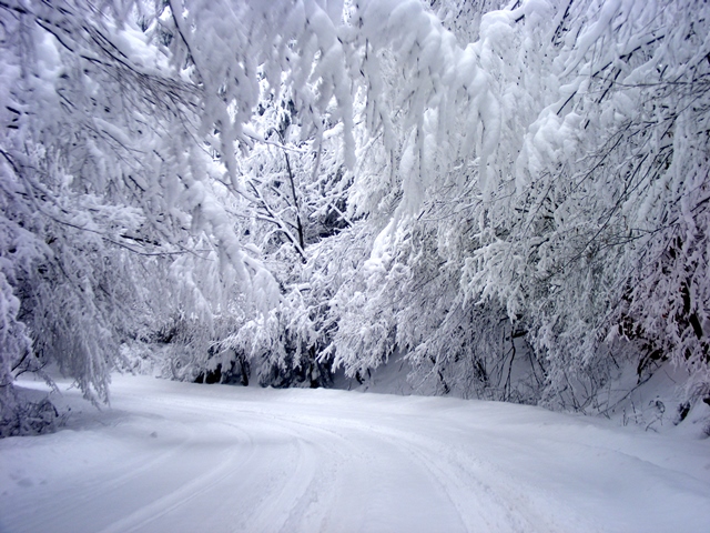 Снимка за 4845